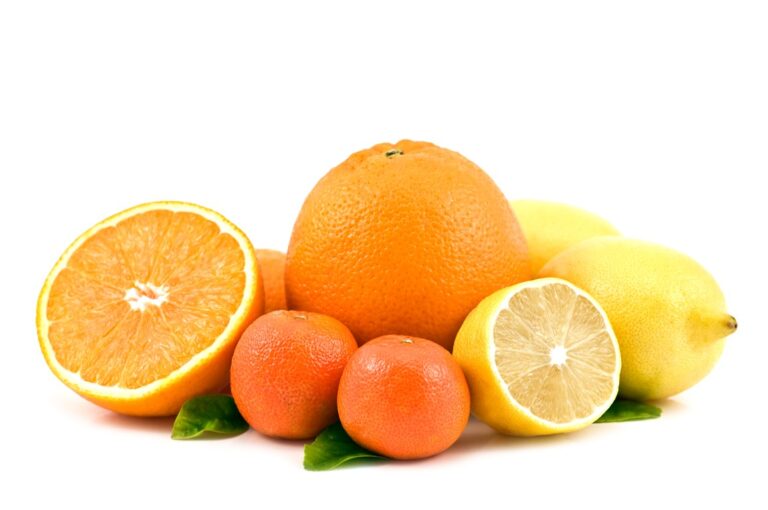 different citrus fruit isolated on white background